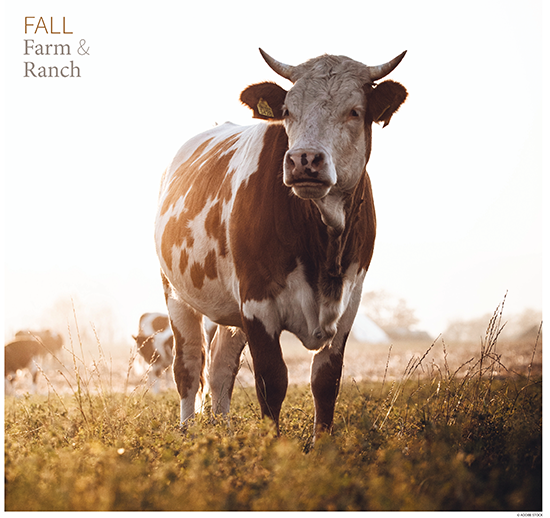 Farm & Ranch Fall 2021