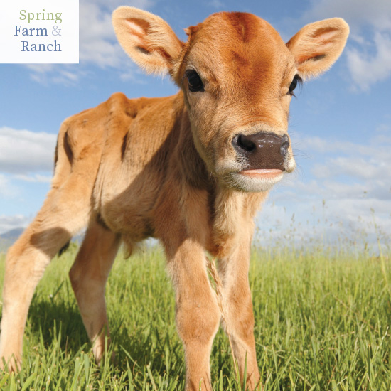 Spring Farm & Ranch 2024