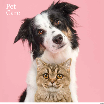 Pet Care - February 2026