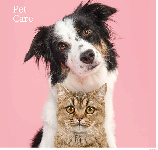 Pet Care - February 2026