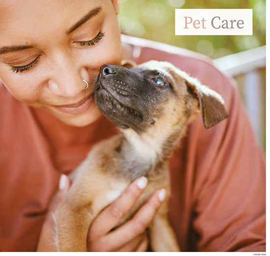 PetCarePreview-1