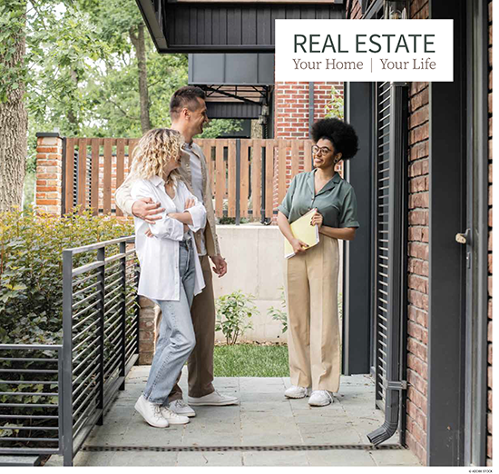 RealEstatePreview-1