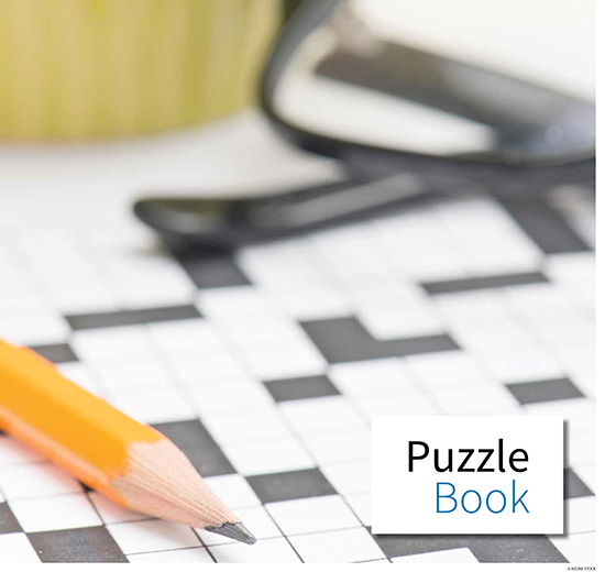 Puzzle Book 2026