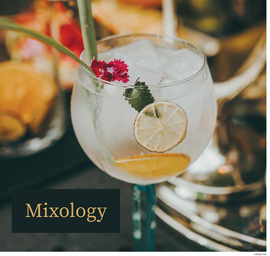 Mixology 2026