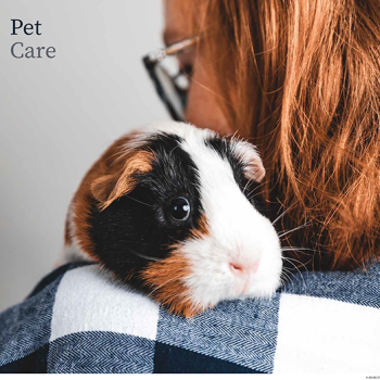 Pet Care - May 2026