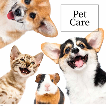 Pet Care - August 2026