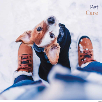 Pet Care - November 2026