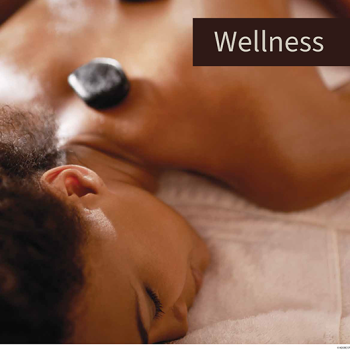 Wellness 2027